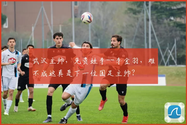 武汉主帅，免贵姓李--李金羽，难不成这真是下一位国足主帅？