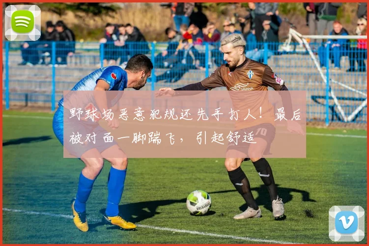 野球场恶意犯规还先手打人！最后被对面一脚踹飞，引起舒适